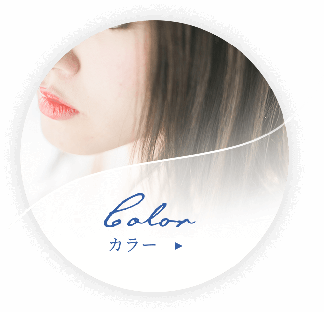 カラーメニュー